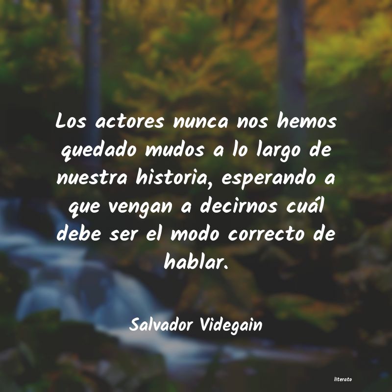 frases de Salvador Videgain