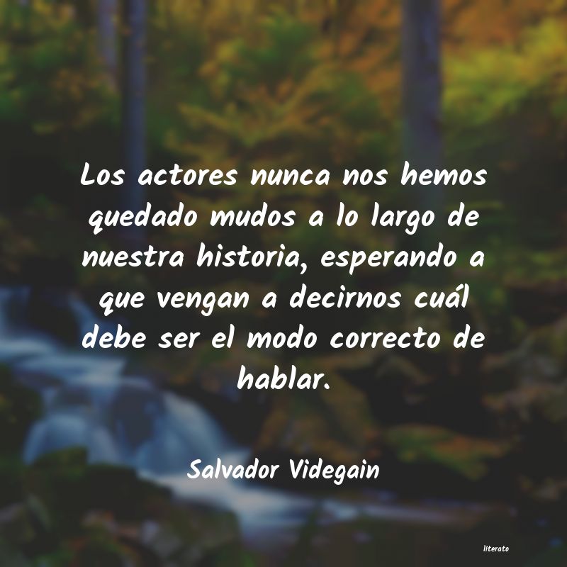 Frases de Salvador Videgain