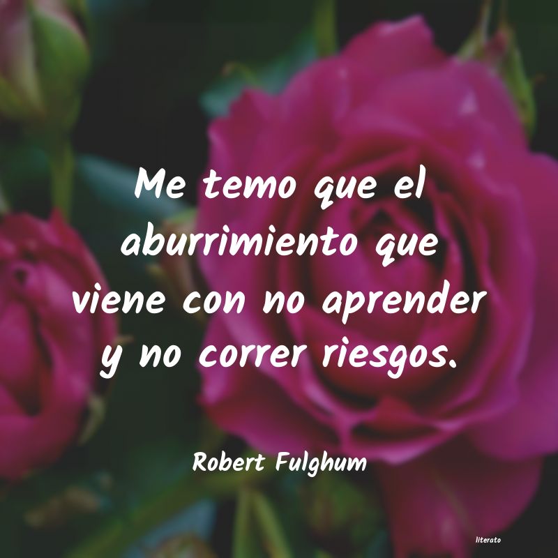 frases de Robert Fulghum