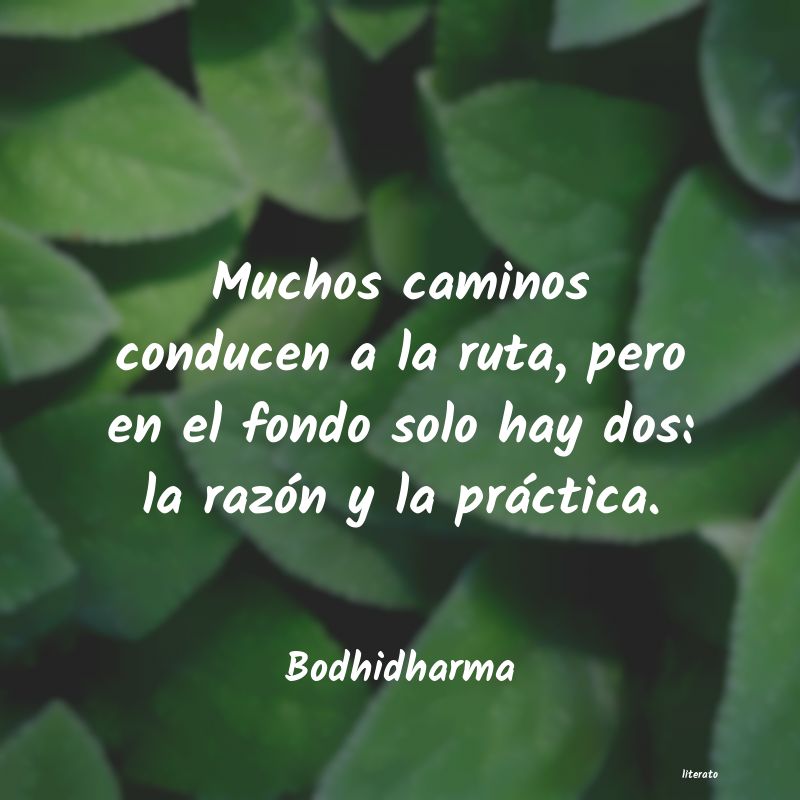 Frases de Bodhidharma