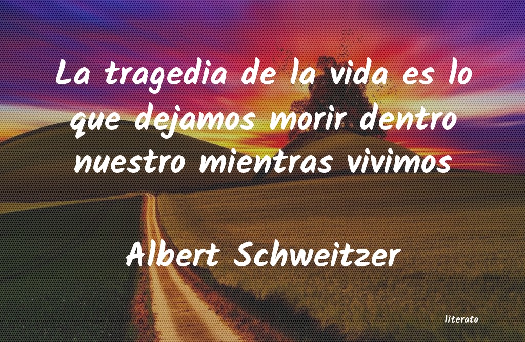 frases de Albert Schweitzer