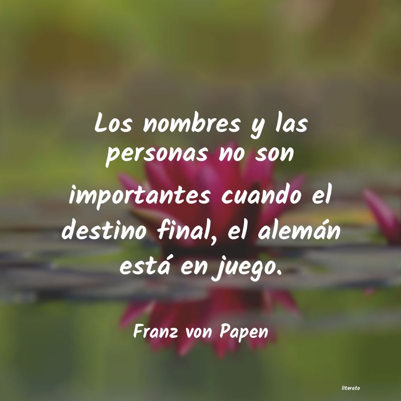 Frases de Franz von Papen