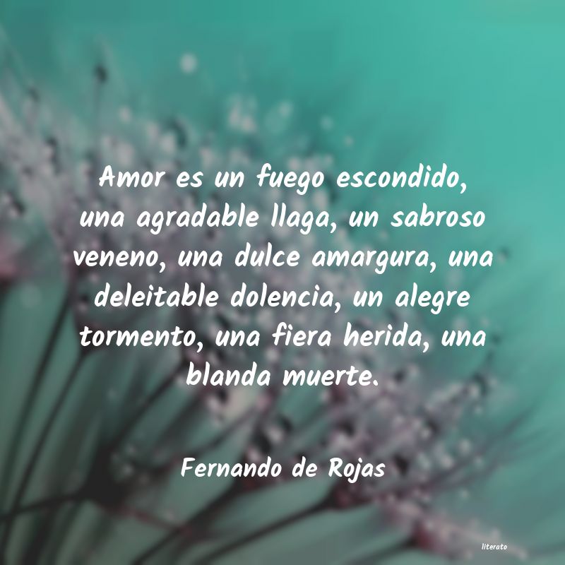 frases de Fernando de Rojas