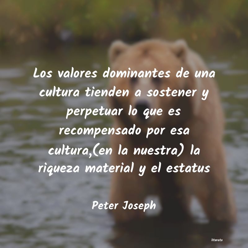 Frases de Peter Joseph