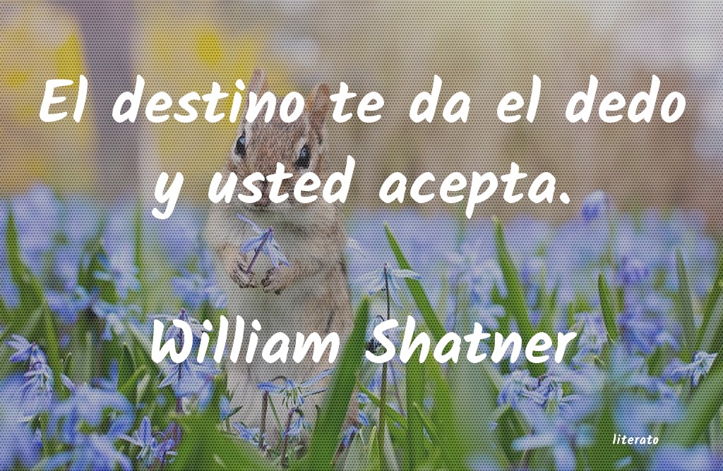 frases de William Shatner