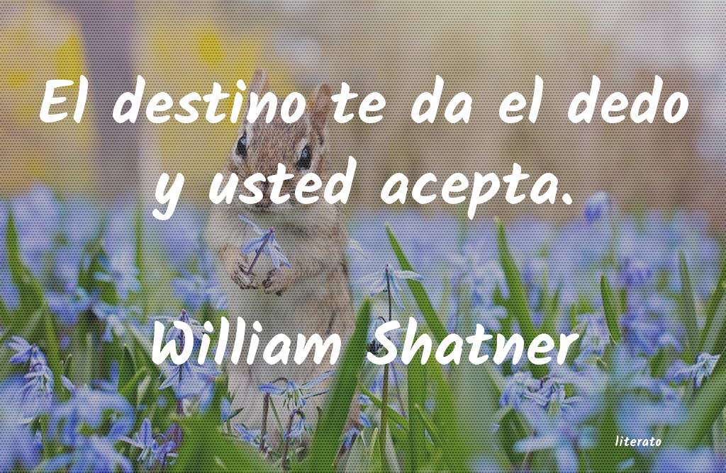 Frases de William Shatner