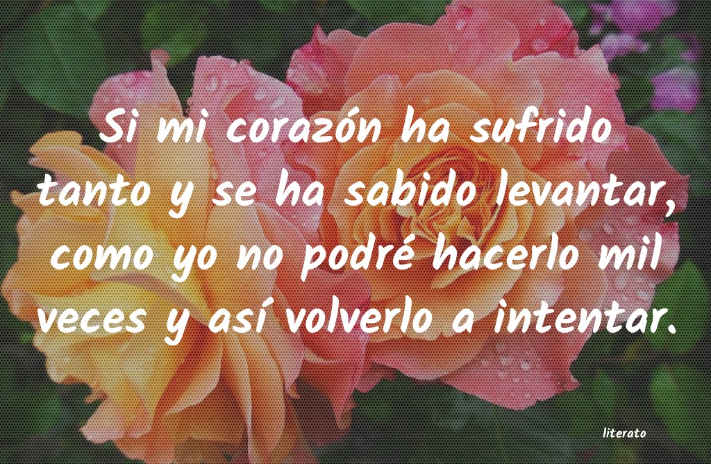 frases