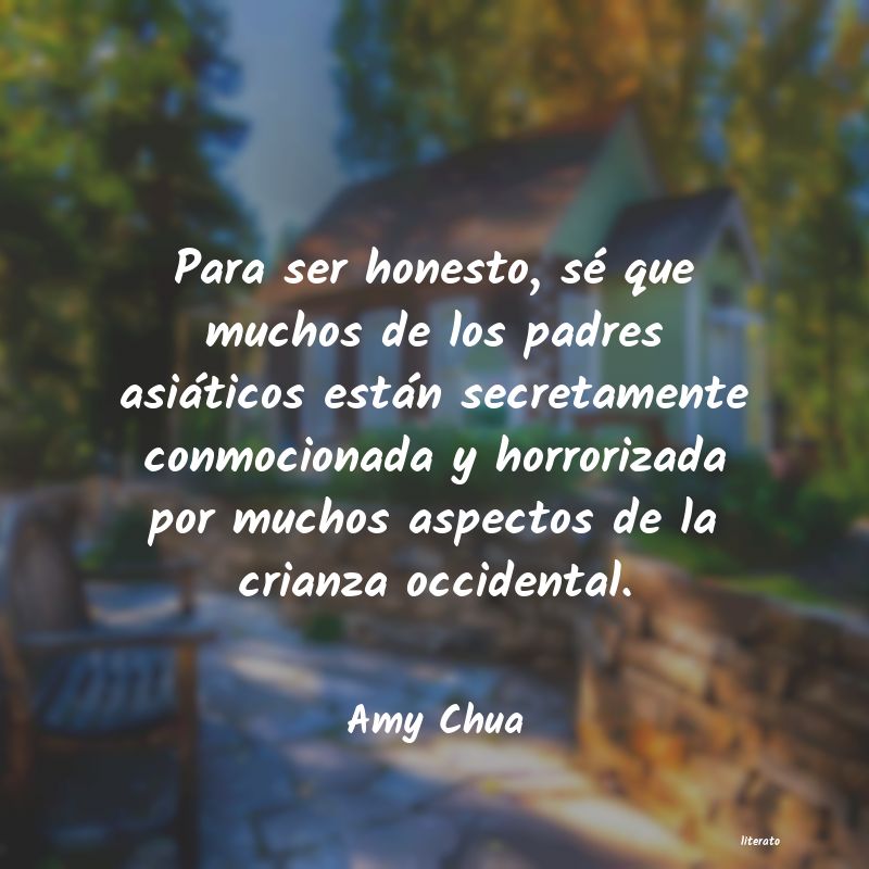frases de Amy Chua