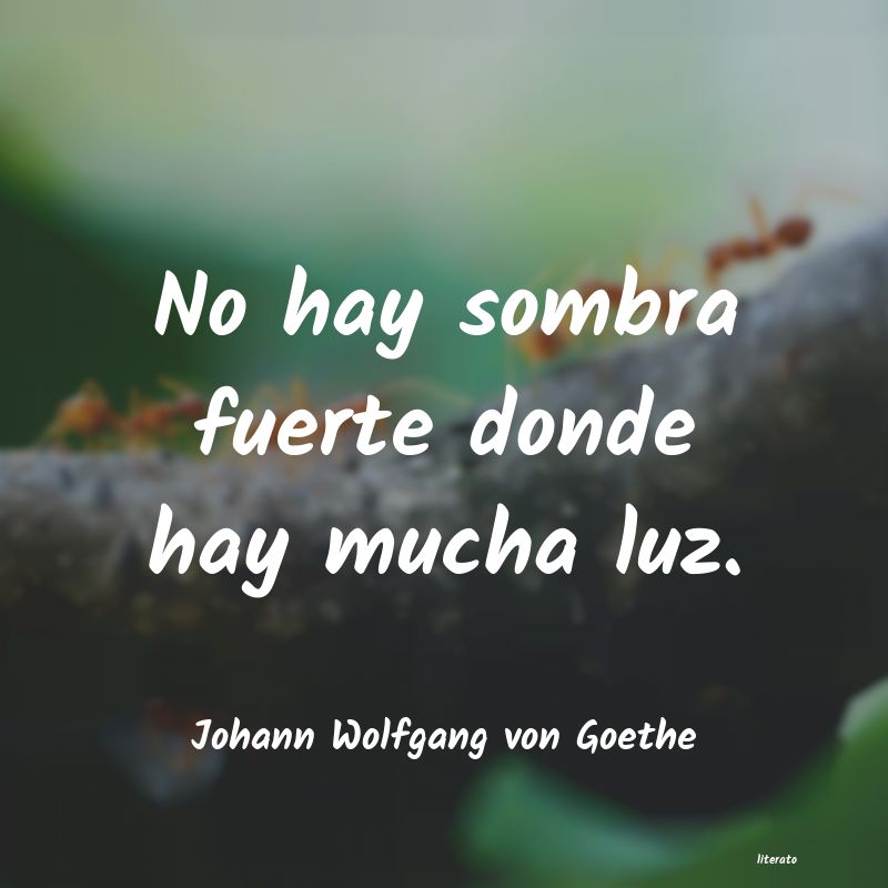 Frases de Johann Wolfgang von Goethe