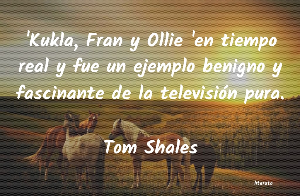 Frases de Tom Shales