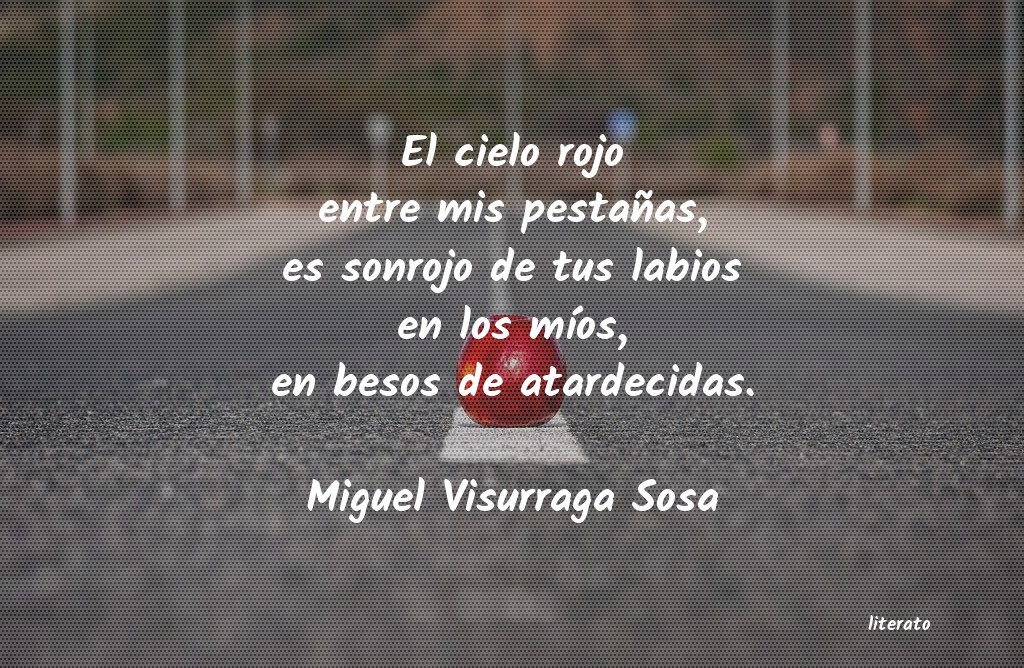 frases de Miguel Visurraga Sosa
