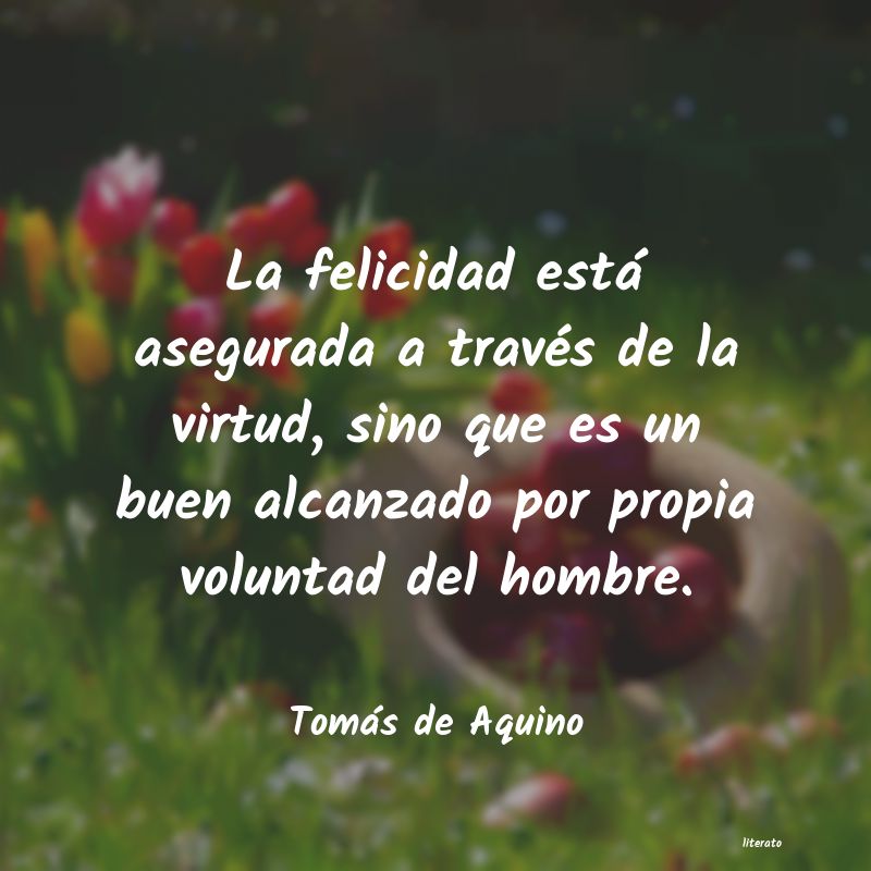 Frases de Tomás de Aquino