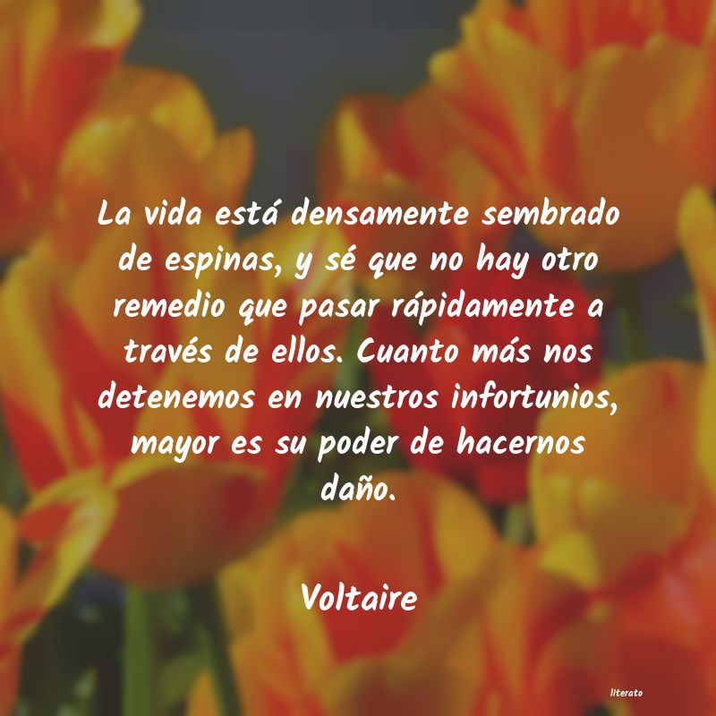 Frases de Voltaire