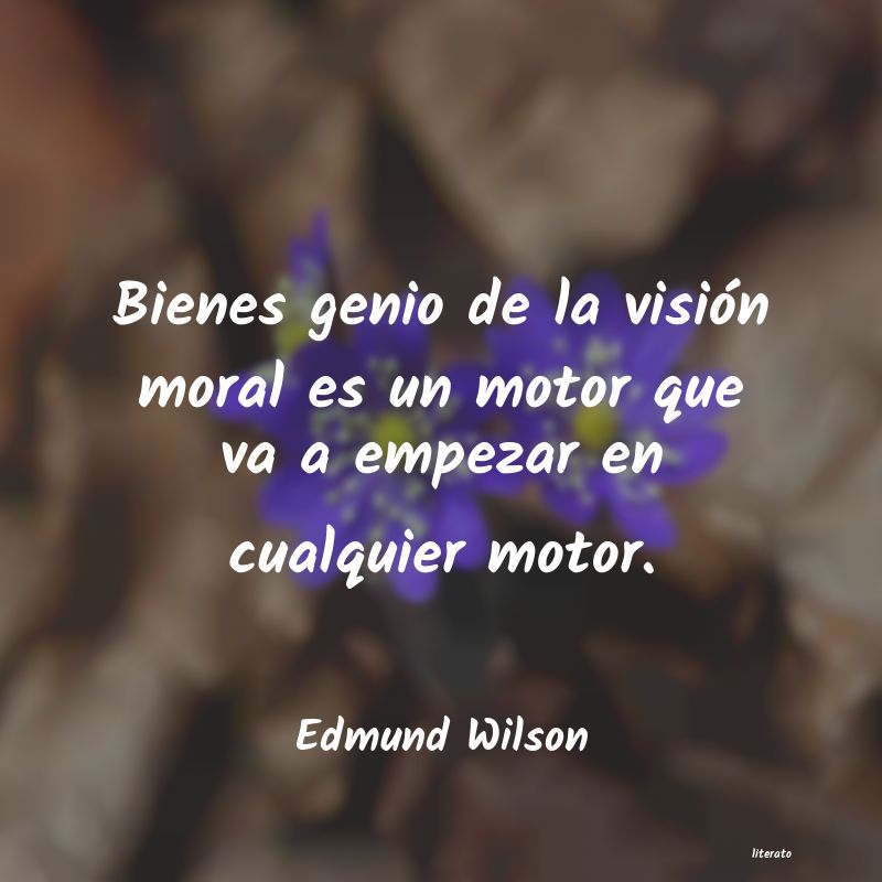 Frases de Edmund Wilson