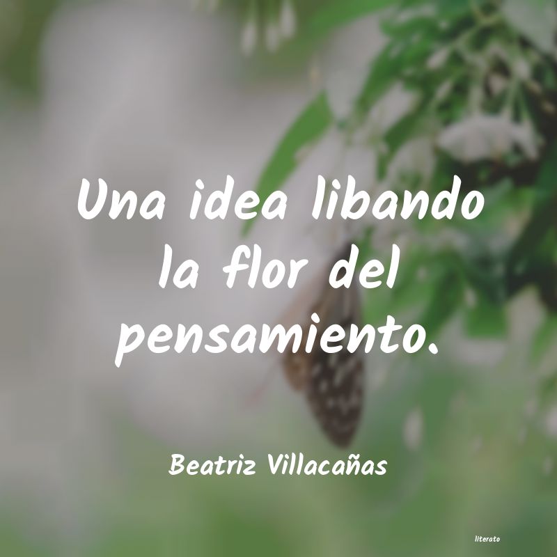 frases de Beatriz Villacañas