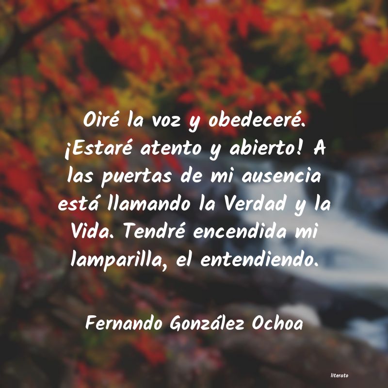 Frases de Fernando González Ochoa