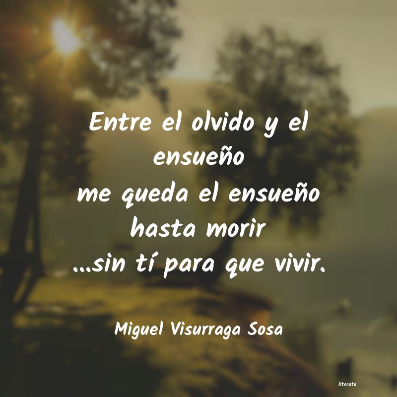 frases de Miguel Visurraga Sosa