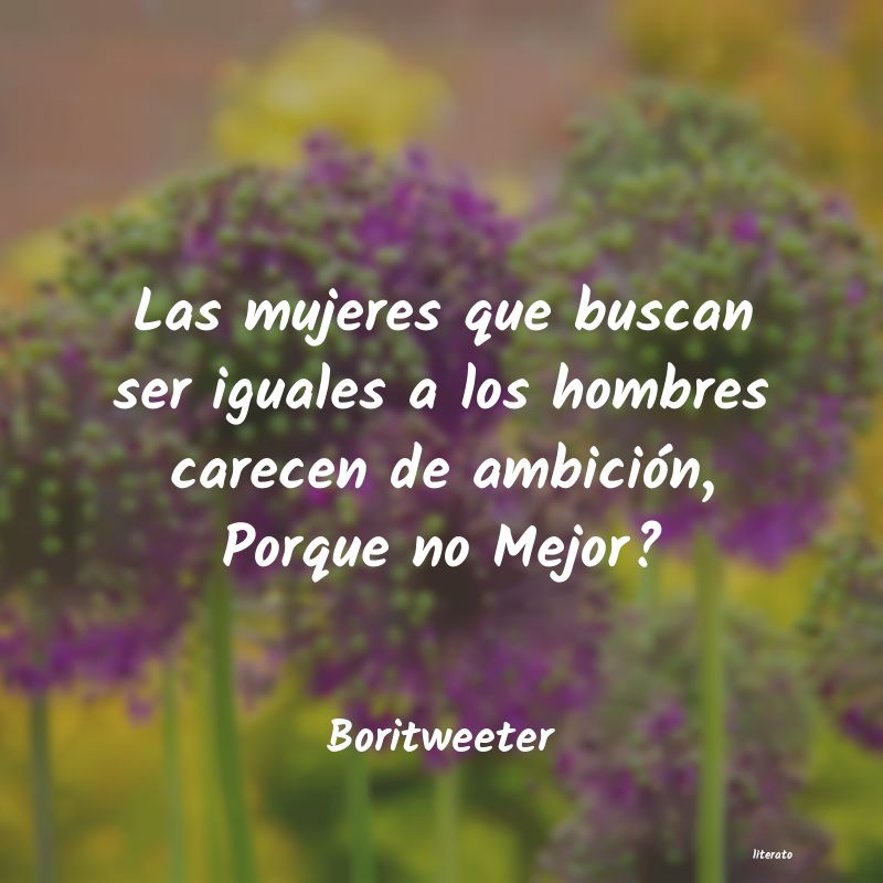 Frases de Boritweeter