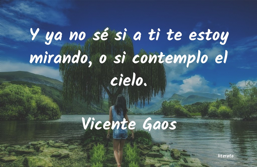 Frases de Vicente Gaos