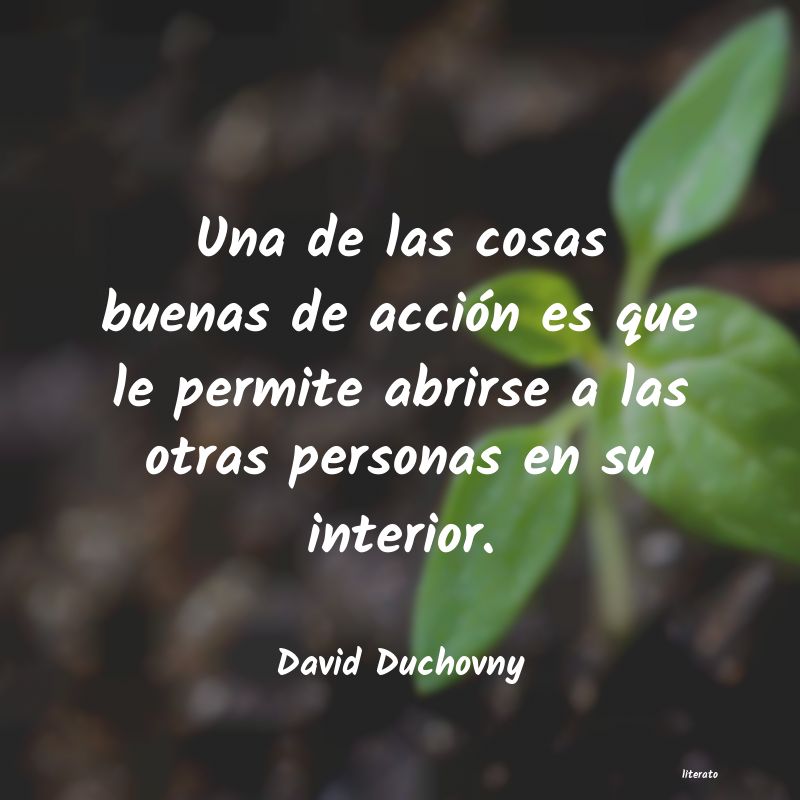 Frases de David Duchovny