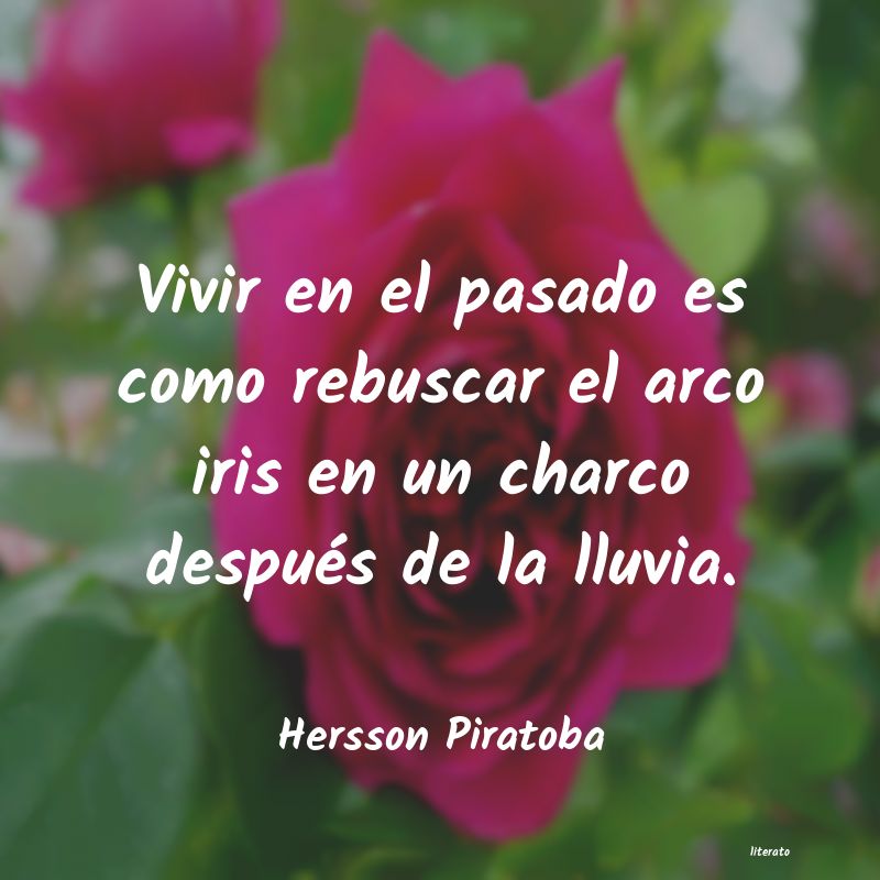 frases de Hersson Piratoba