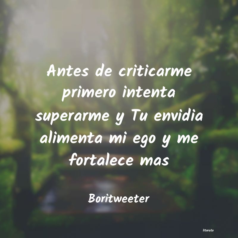 Frases de Boritweeter