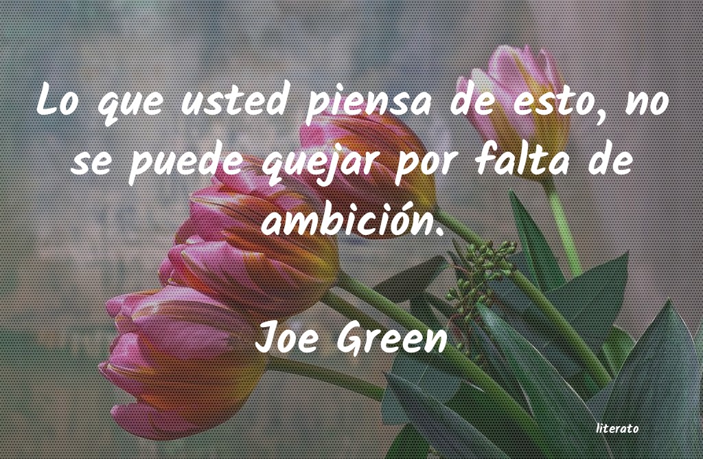 frases de Joe Green