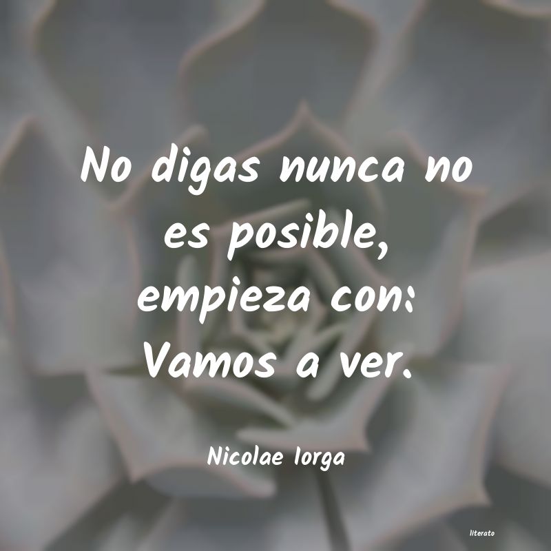 Frases de Nicolae Iorga