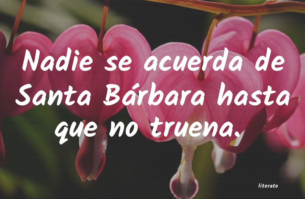 frases
