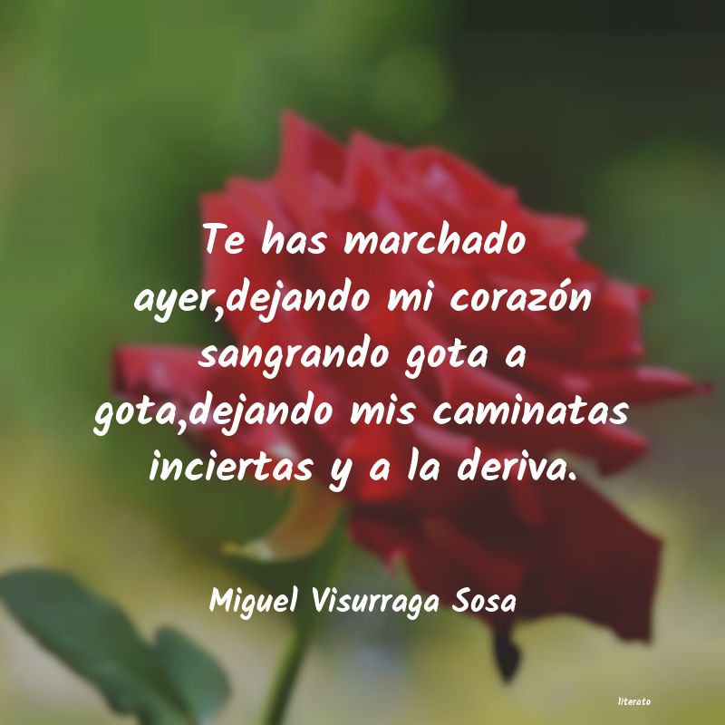 frases de Miguel Visurraga Sosa