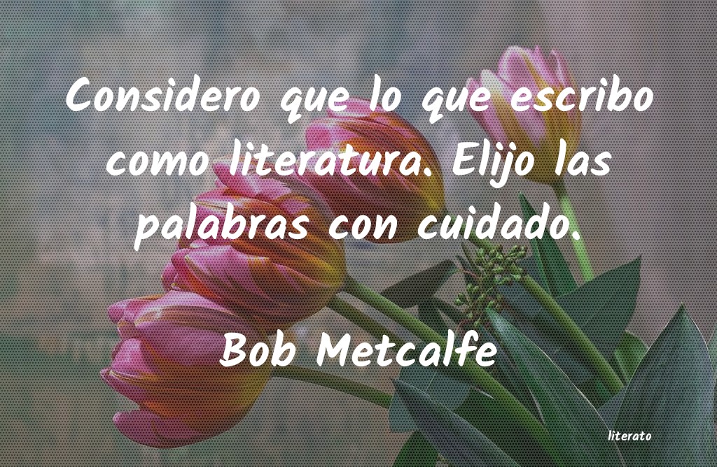 Frases de Bob Metcalfe