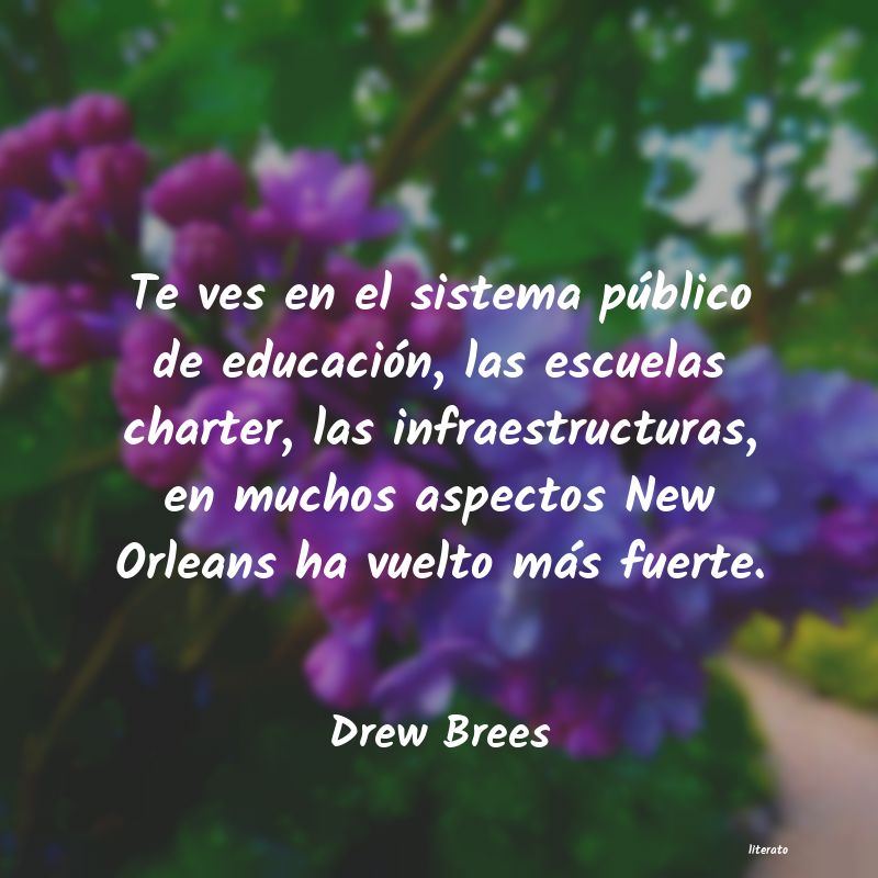 Frases de Drew Brees