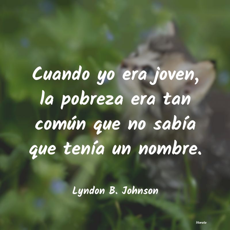 Frases de Lyndon B. Johnson