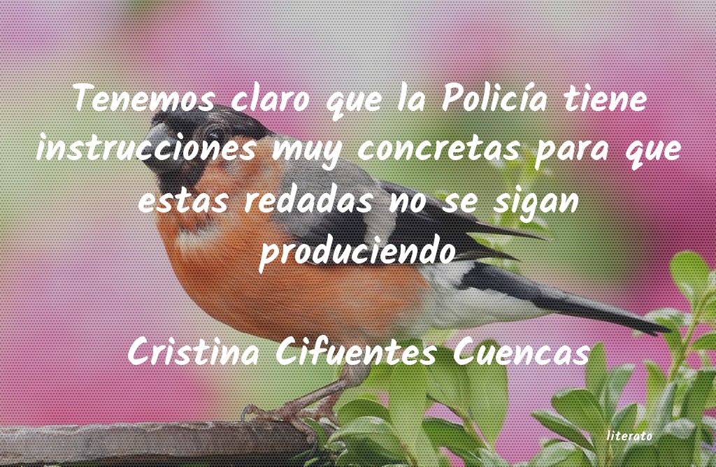 Frases de Cristina Cifuentes Cuencas