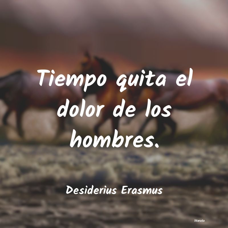 frases de Desiderius Erasmus