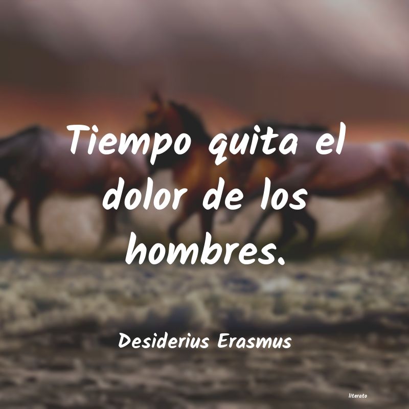 Frases de Desiderius Erasmus