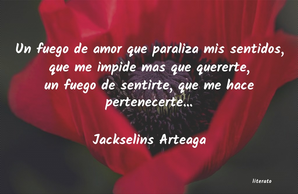 frases de Jackselins Arteaga