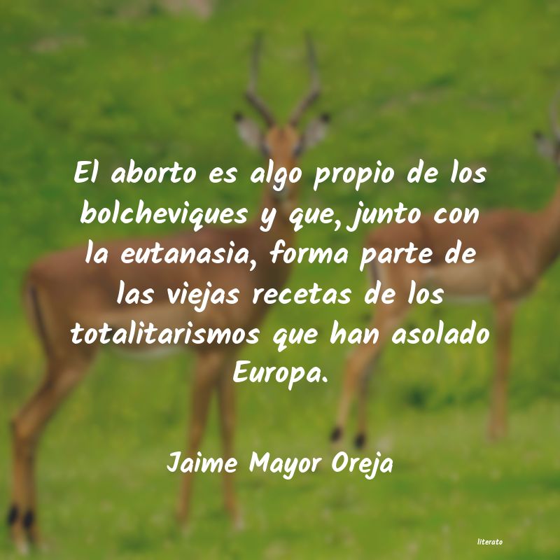 Frases de Jaime Mayor Oreja