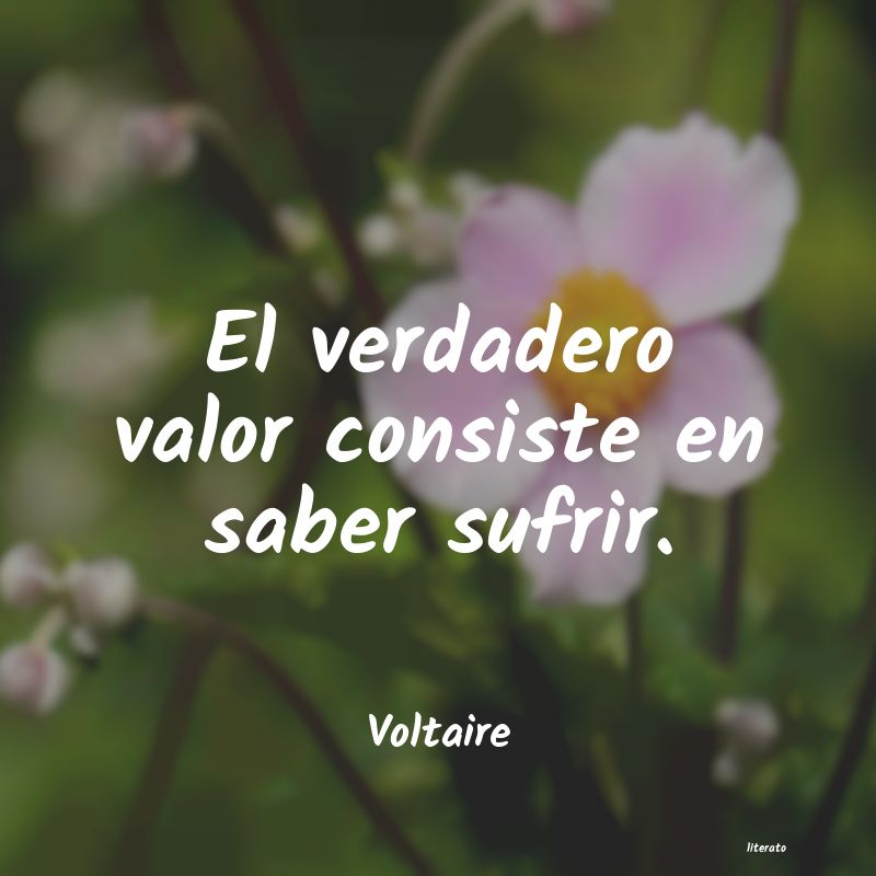 frases de Voltaire