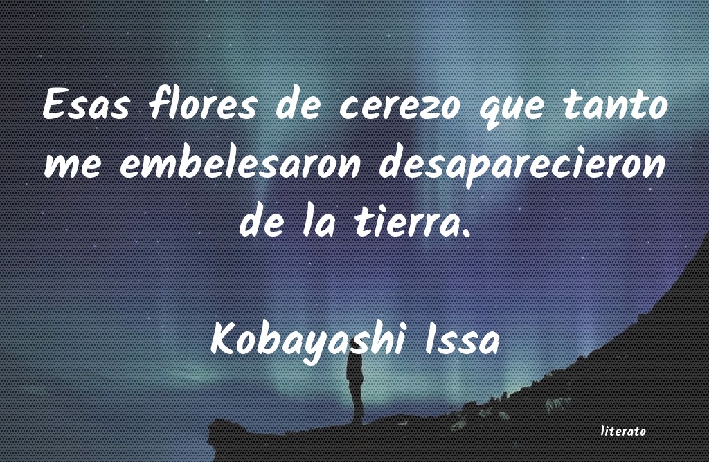 frases de Kobayashi Issa