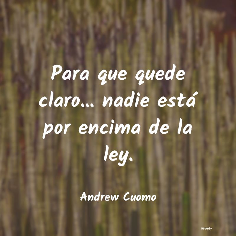 Frases de Andrew Cuomo