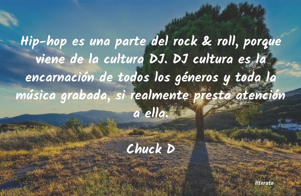 Frases de Chuck D