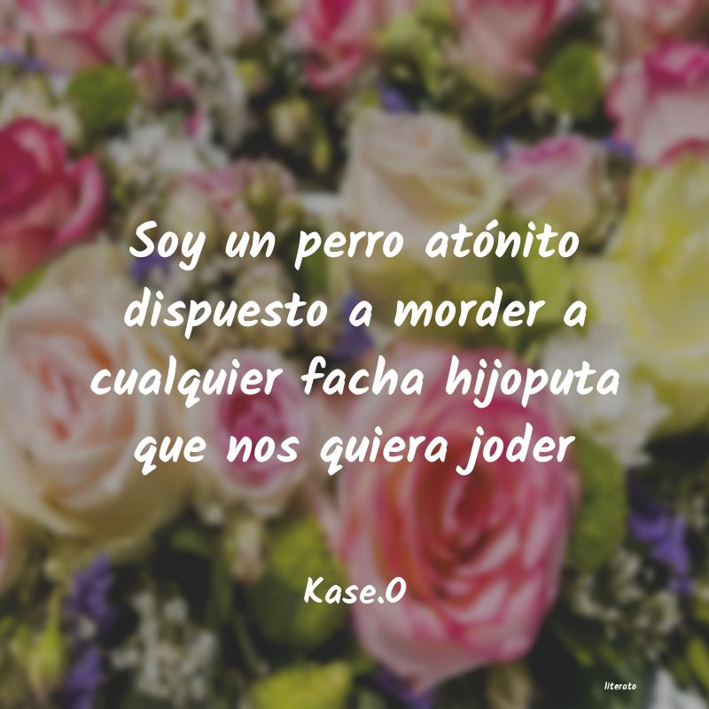 frases de Kase.O