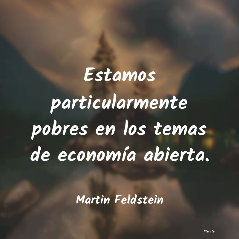 Frases de Martin Feldstein