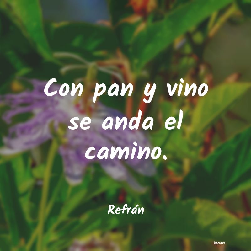 frases de Refrán
