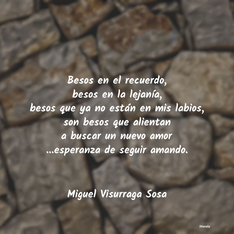 frases de Miguel Visurraga Sosa