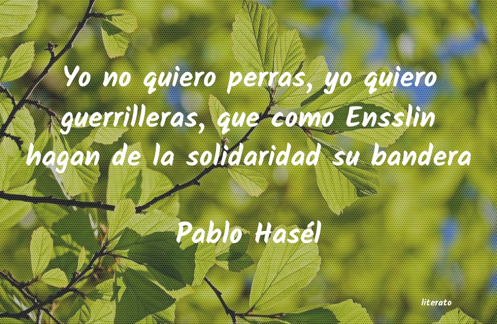 Frases de Pablo Hasél