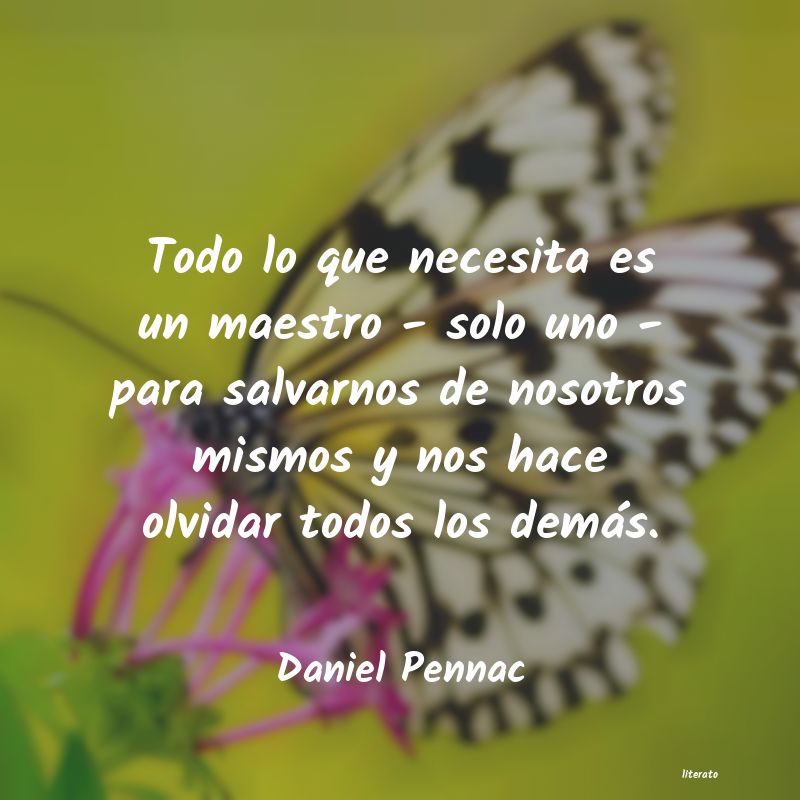 Frases de Daniel Pennac