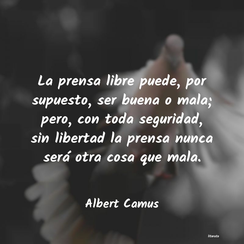 Frases de Albert Camus