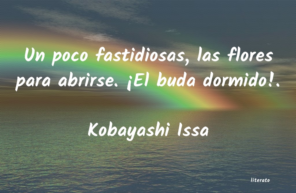 frases de Kobayashi Issa